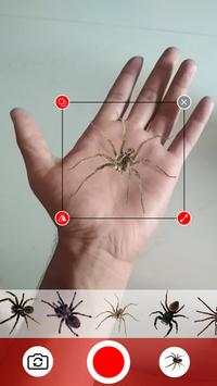 Spider In Hand Prank Funny Joke screenshot 2