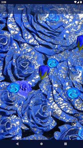 Blue Rose Live Wallpaper 3D 5 تصوير الشاشة