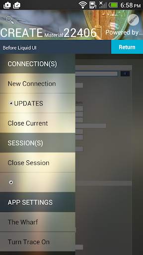 Liquid UI Client for SAP screenshot 8