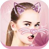 😻Cat Face Filters and Stickers