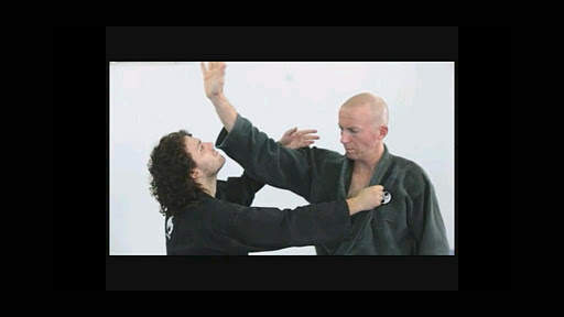 Ninjutsu Free screenshot 4
