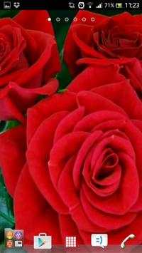 Best rose wallpapers स्क्रीनशॉट 2