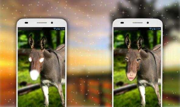 Donkey Photo Editor screenshot 4