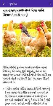 Gujarati Samachar Gujarat News screenshot 5