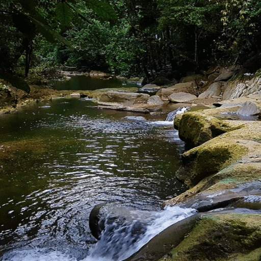 Hilly Pond Live Wallpaper 3