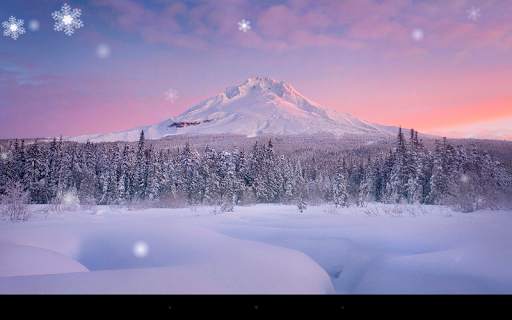 Snow Season Live Wallpaper screenshot 6