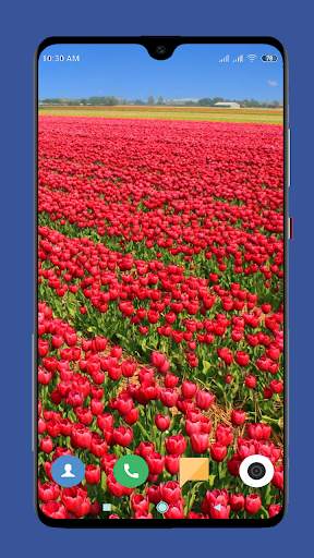 Beautiful Spring Wallpaper  4K screenshot 6