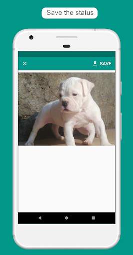 StatusApp - Status Saver for WhatsApp screenshot 7