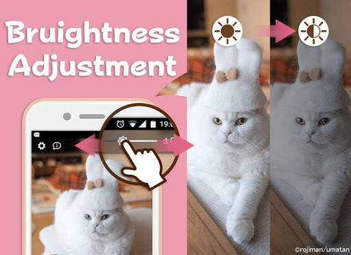 Wallpaper: Cats' Hair Hats screenshot 2