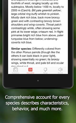 Birds of Ecuador screenshot 14
