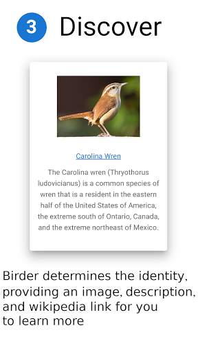 Birder.AI - The Bird Sound Identifier screenshot 3