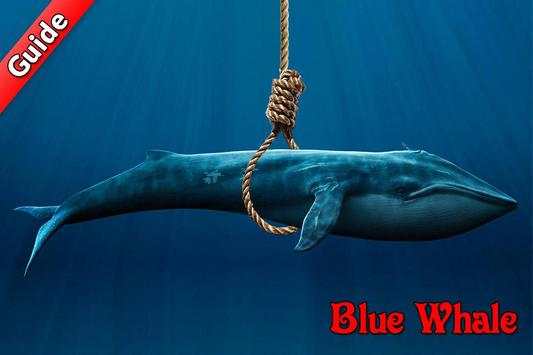 Guide for Blue Whale Suicide Game screenshot 3