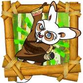 Shifu Run