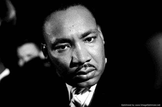 Martin Luther King screenshot 4