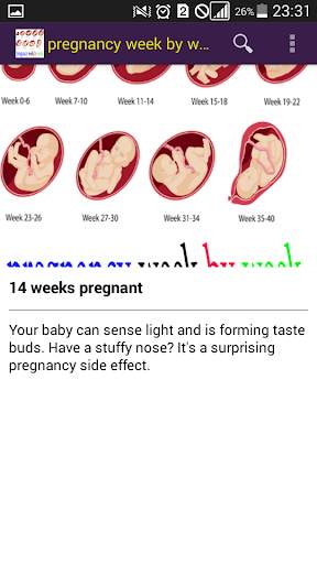 pregnancy week by week screenshot 4