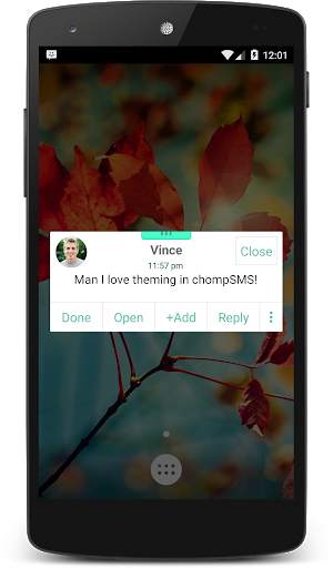 Mint Theme (chomp) screenshot 3