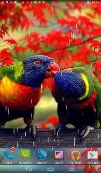 Rainy Bird Live Wallpaper screenshot 6