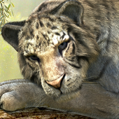 live tiger wallpaper icon