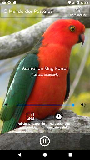 The World of Birds screenshot 2