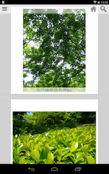 Kuc.Picasa (photo viewer) screenshot 4