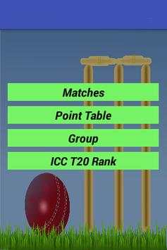 Twenty 20 Cricket World Cup screenshot 1