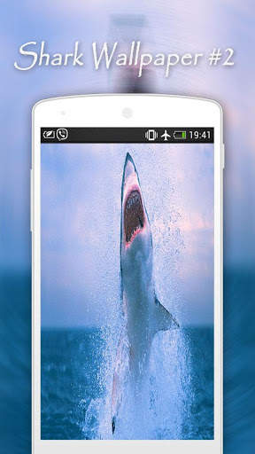 Shark Wallpapers screenshot 3