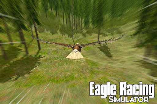 Eagle Racing Simulator: Animal Race Game screenshot 12