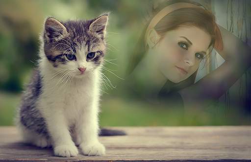 Animal Photo Frames screenshot 4