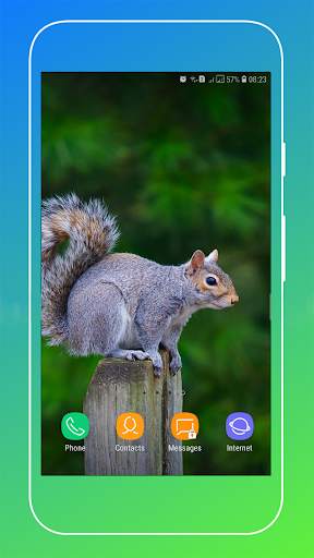 Squirrel Wallpaper screenshot 8