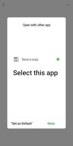 Save Copy screenshot 2