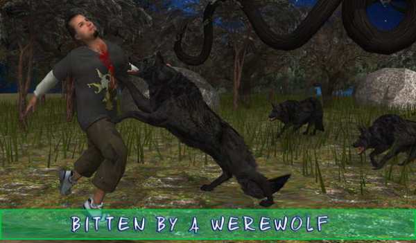 Teen Boy Werewolf: Wolf screenshot 12