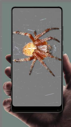 Spider Wallpaper screenshot 6