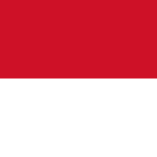 ikon Indonesia VPN - for OpenVPN