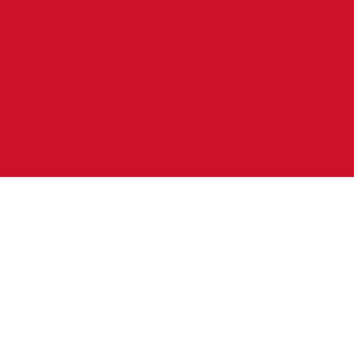 Indonesia VPN - for OpenVPN 3.6.0