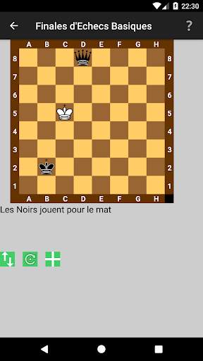 Finales d'Echecs Basiques screenshot 2