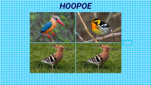 Bird Center: Kids Learn Birds स्क्रीनशॉट 6