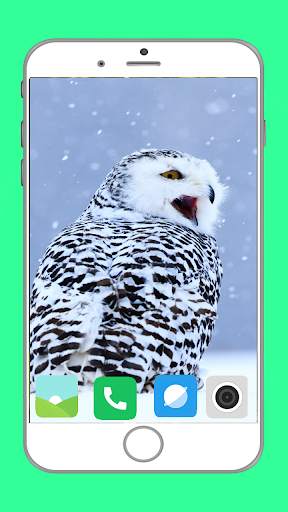 Predator Birds Full HD Wallpaper скриншот 5