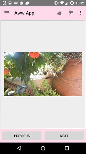 Aww App 3 تصوير الشاشة