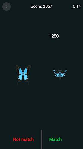 Brain Games screenshot 3