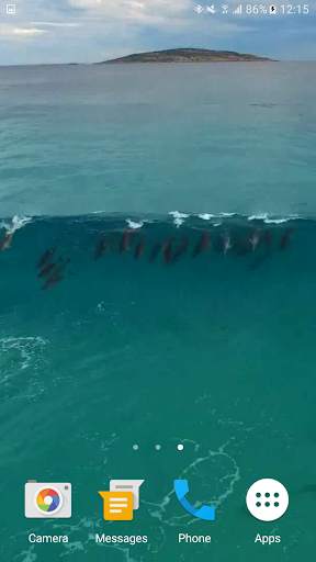 Dolphins Video Live Wallpaper screenshot 5