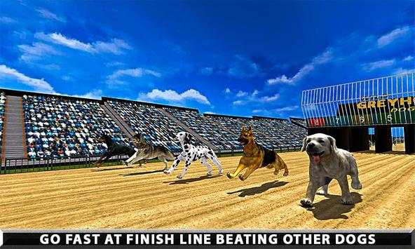 Wild Greyhound Dog Racing screenshot 4