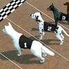 Crazy Dog Racing 2.4.3