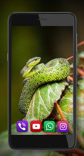 Snake Sounds Live Wallpaper screenshot 6