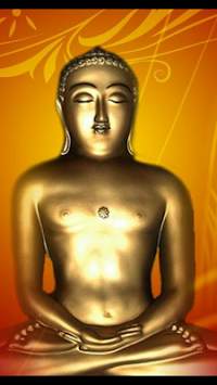 Jain Chalisa Aarti and Stotra screenshot 9