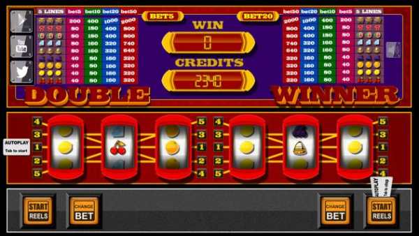 slots - Double Winner screenshot 4