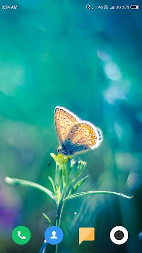 Macro Wallpaper HD screenshot 3