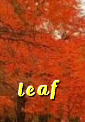 Add text on photo  -3D text on phonto screenshot 7