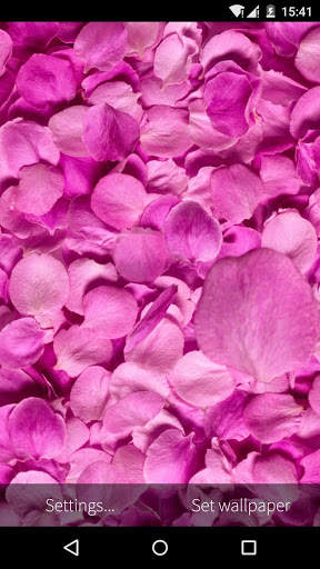 Flower Petals 3D Wallpaper HD screenshot 5