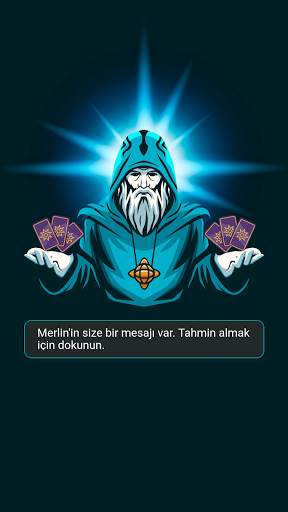Durugörü Merlin screenshot 2