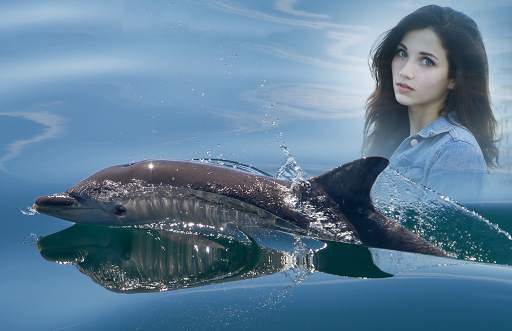 Dolphin Photo Frames screenshot 3